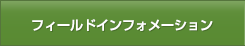 フィールドインフォメーション